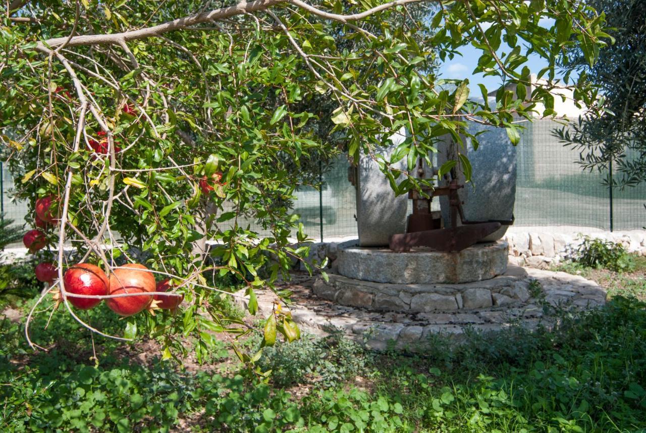 Agriturismo Al Casale 돈나푸가타 외부 사진