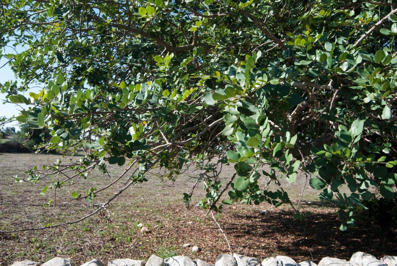 Agriturismo Al Casale 돈나푸가타 외부 사진